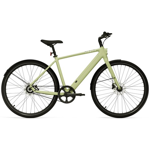 A Tenways CGO 600 Pro leisure bike from 2025.